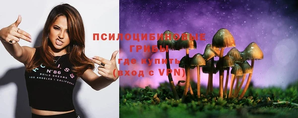 мяу мяу мука Беломорск