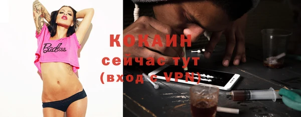 мескалин Богородицк