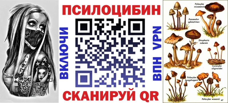 Псилоцибиновые грибы Psilocybe  Горячий Ключ 